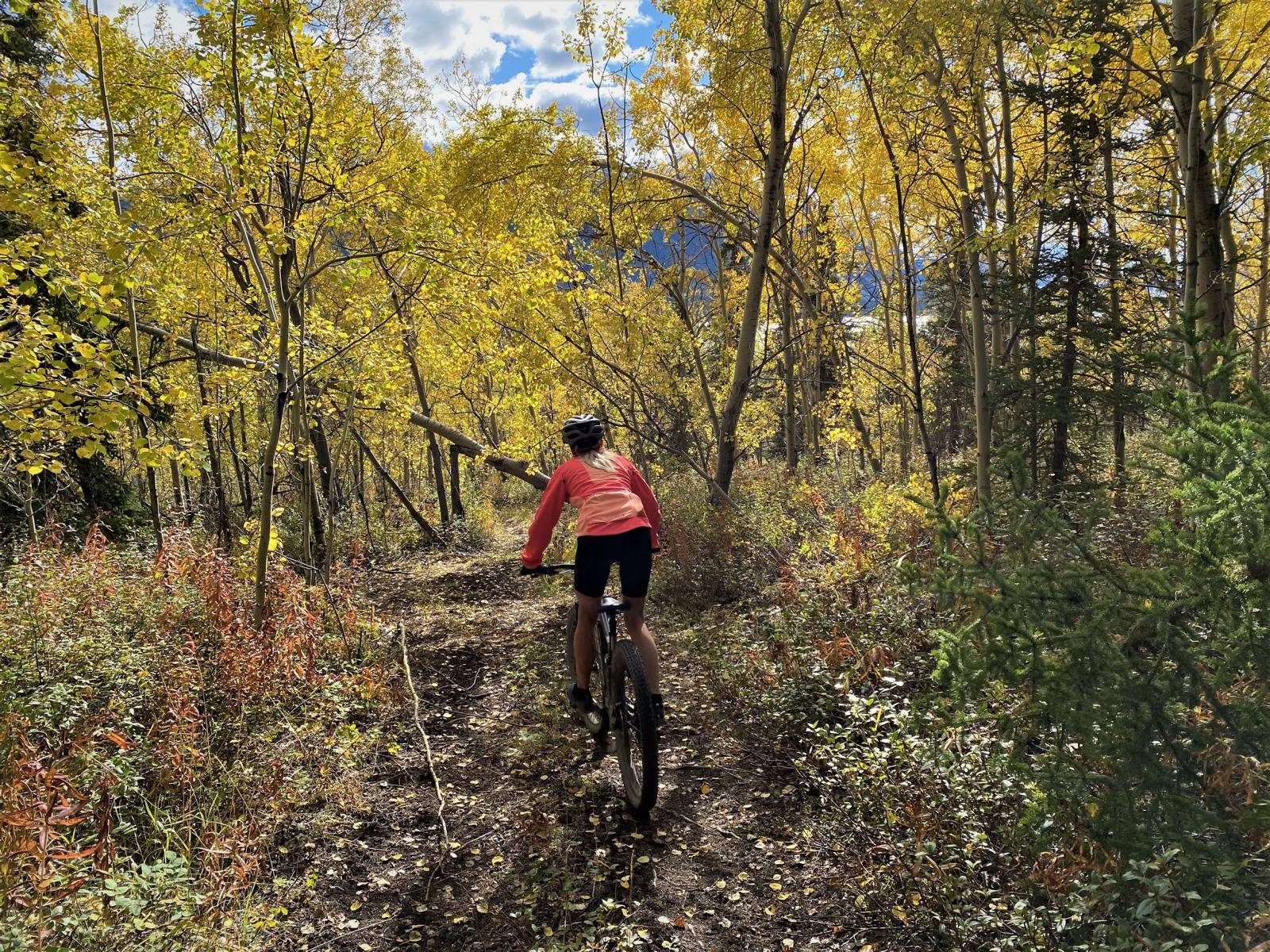 A woman mountainbiking down a trail through the forest