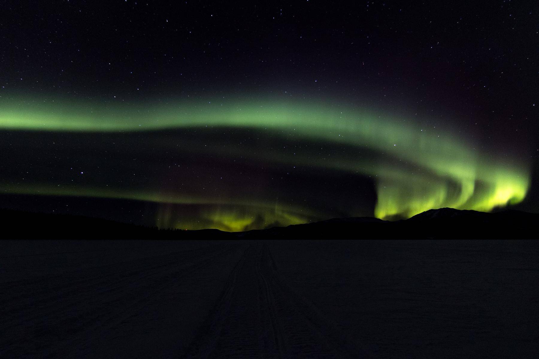 Northern lights over the frozen tagish lake