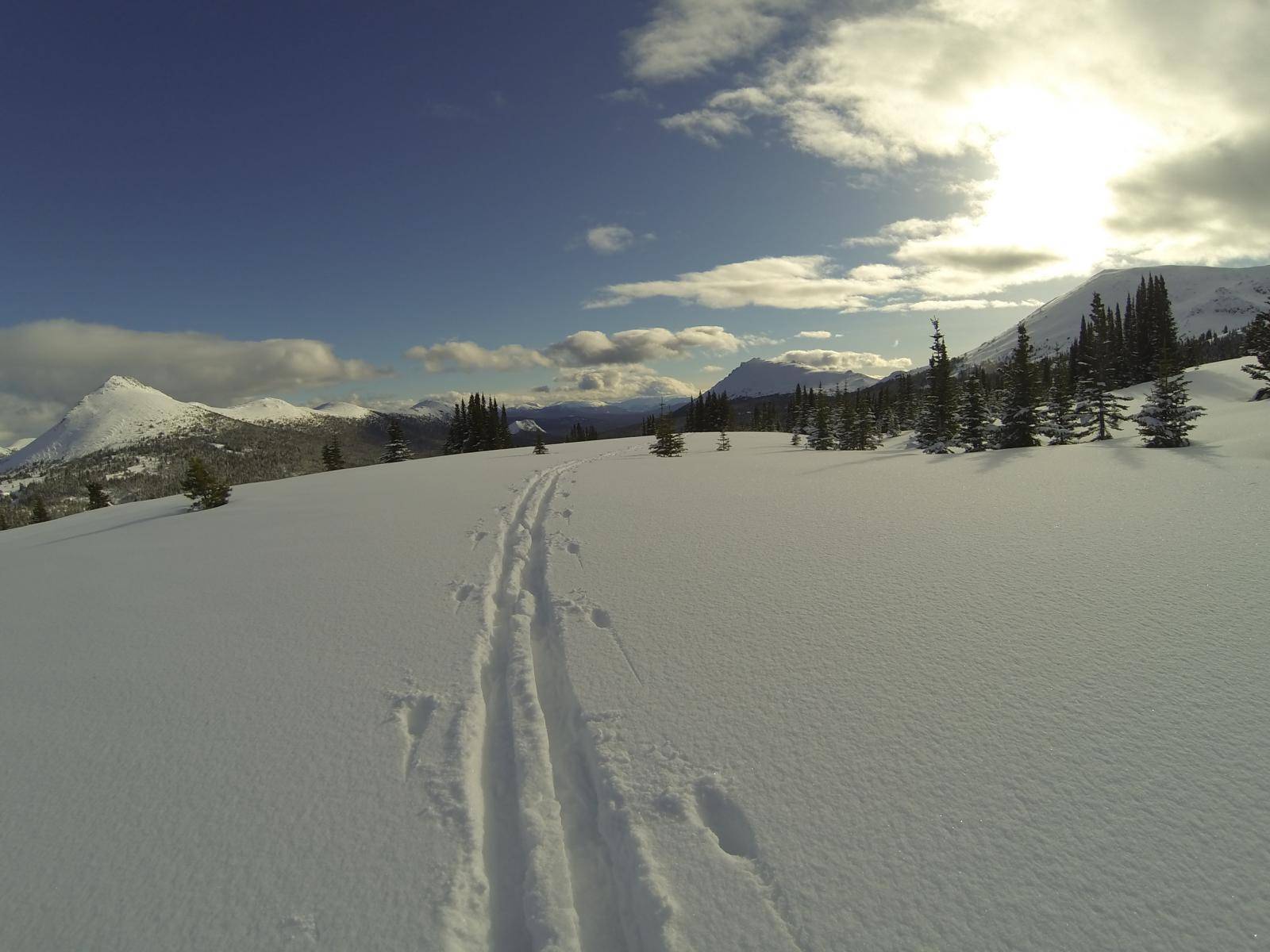 A cross-country skiing track in deep snow towards the sunset and the pine tree forest