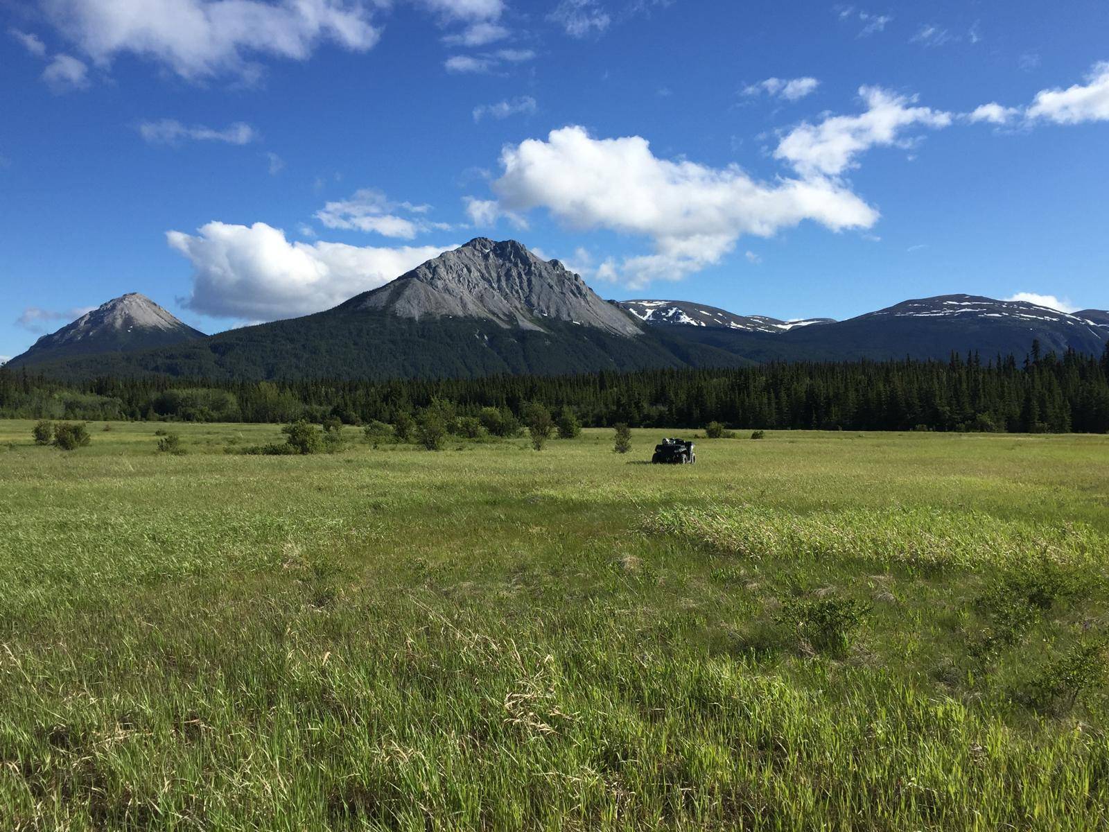 An ATV on a large meadow in the wild with a mountain panorama in the background