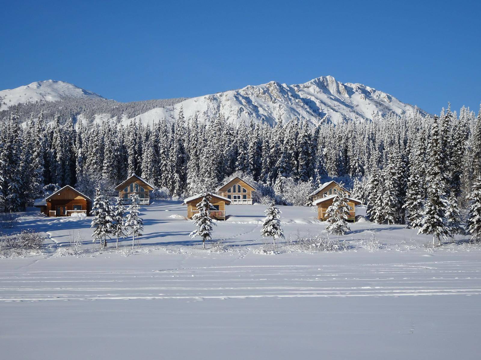 deluxe and standard cabins in winter from frozen lake