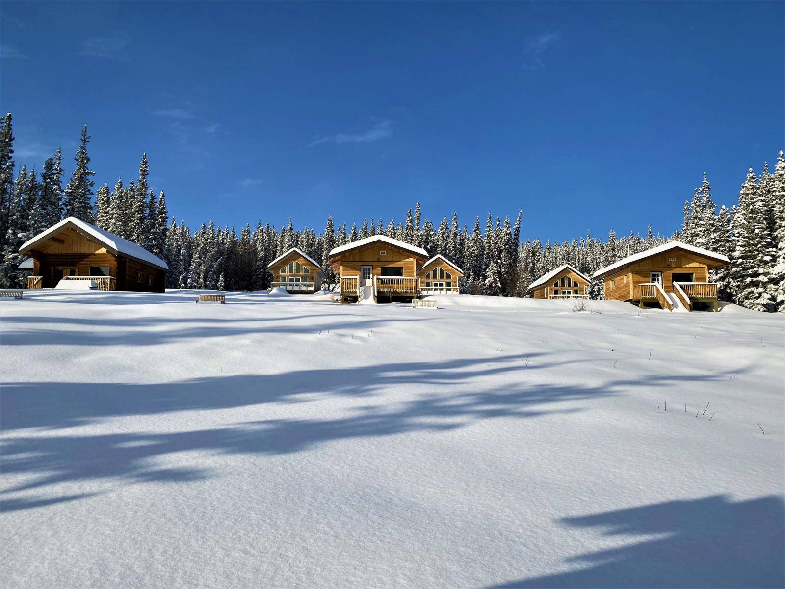 standard and deluxe cabins in deep snow