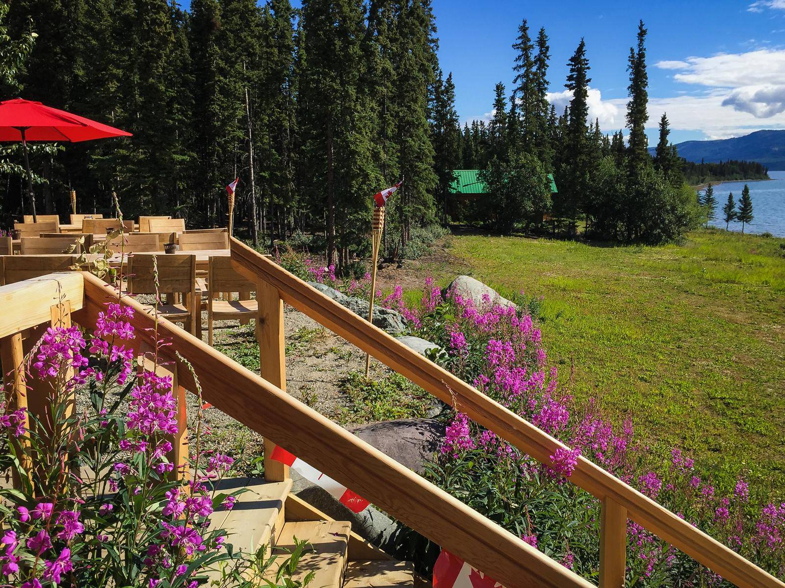 restaurant patio, pink flowers, cabins in background