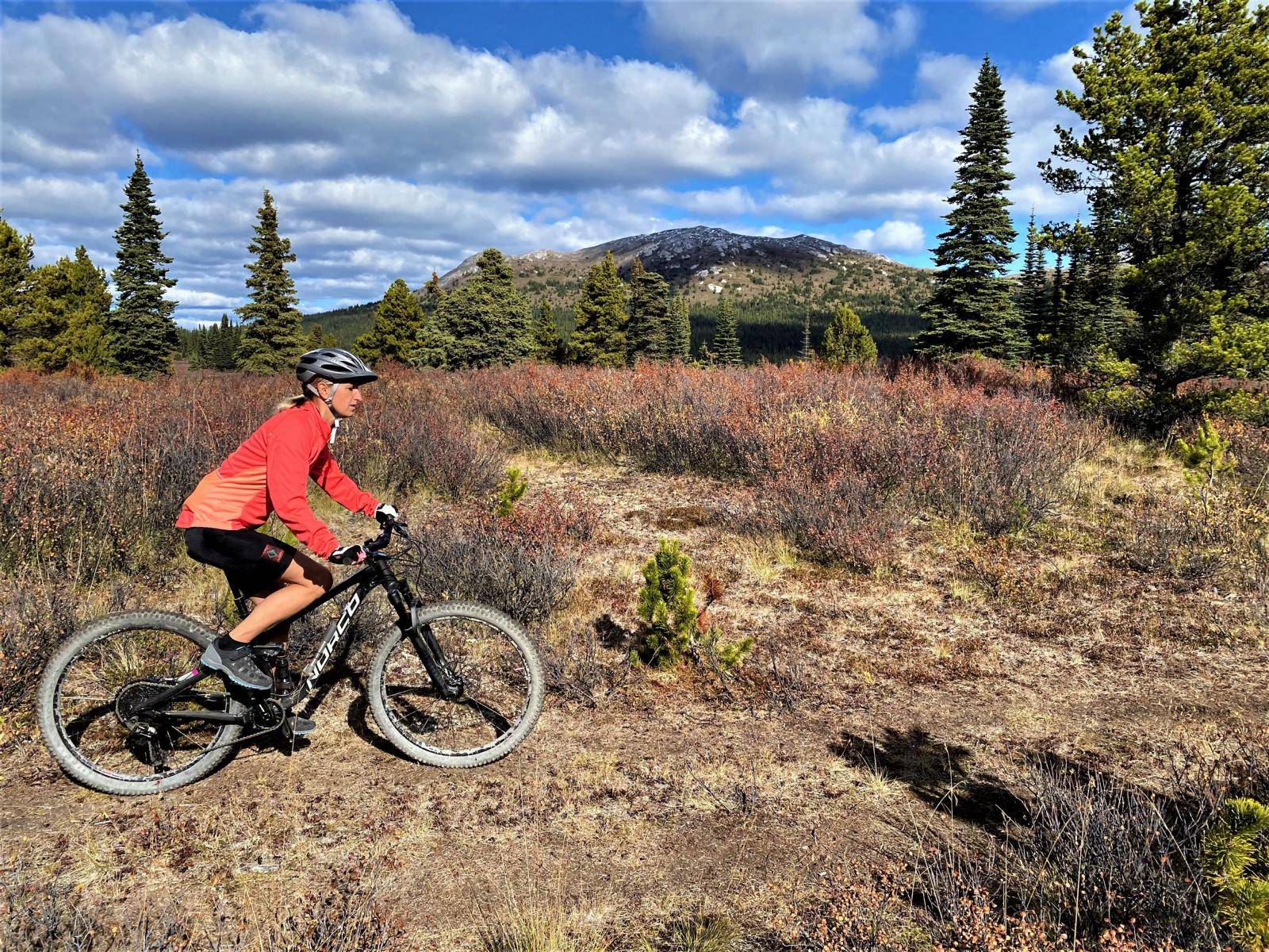 A woman riding a mountainbike through colourful meadow mountain landscape